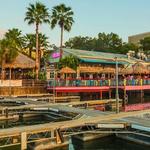 Hula Hut