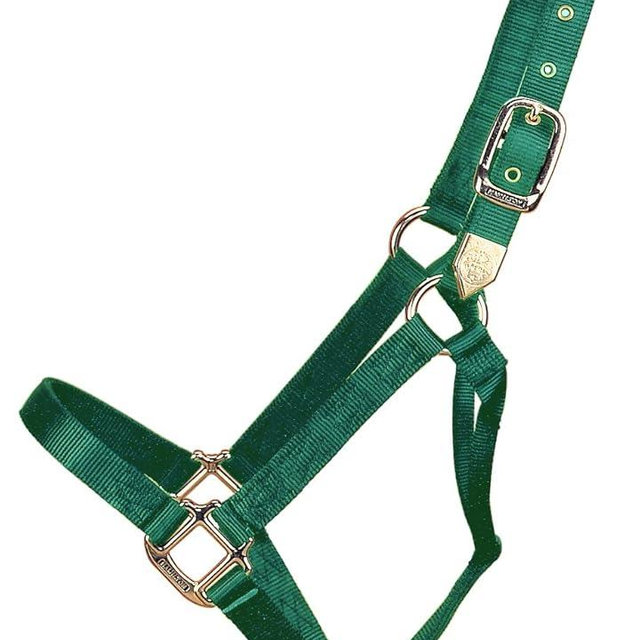 Hamilton 1-Inch Nylon Horse Halter Yearling/Standard Donkey Size (300-500 Pounds), Dark Green