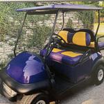 Acree Golf Cart Rentals