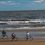 Bike Rentals