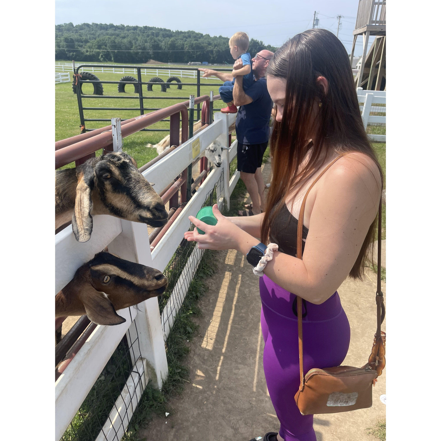 We have an Old McDonald's Farm