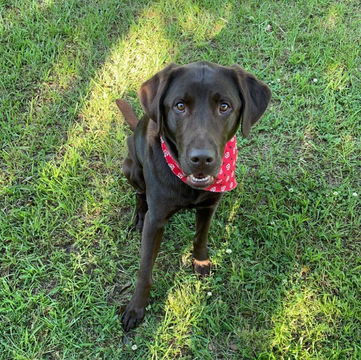 Tucker wanted to say "hello" to everyone!