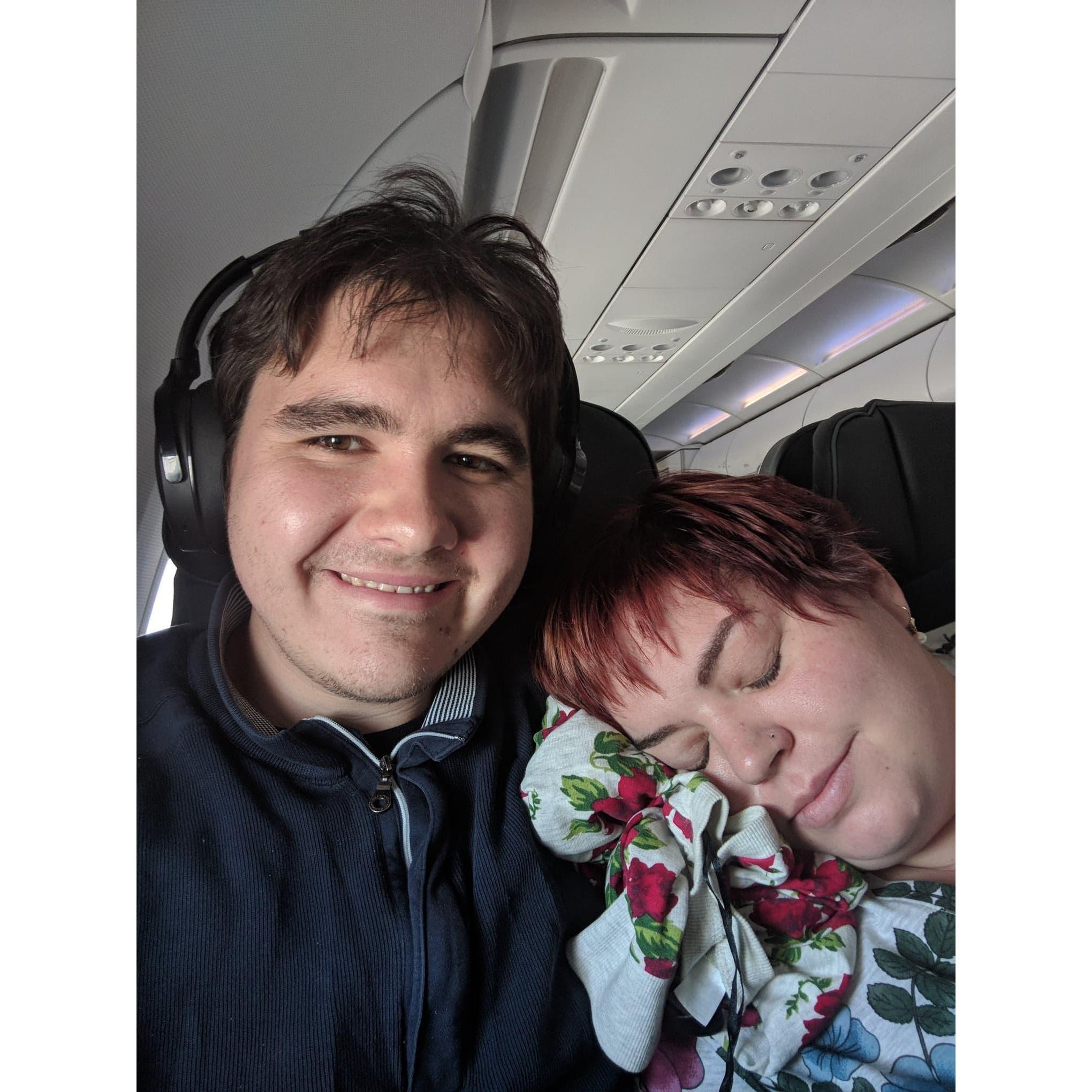 the flight home