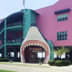 Sharkheads