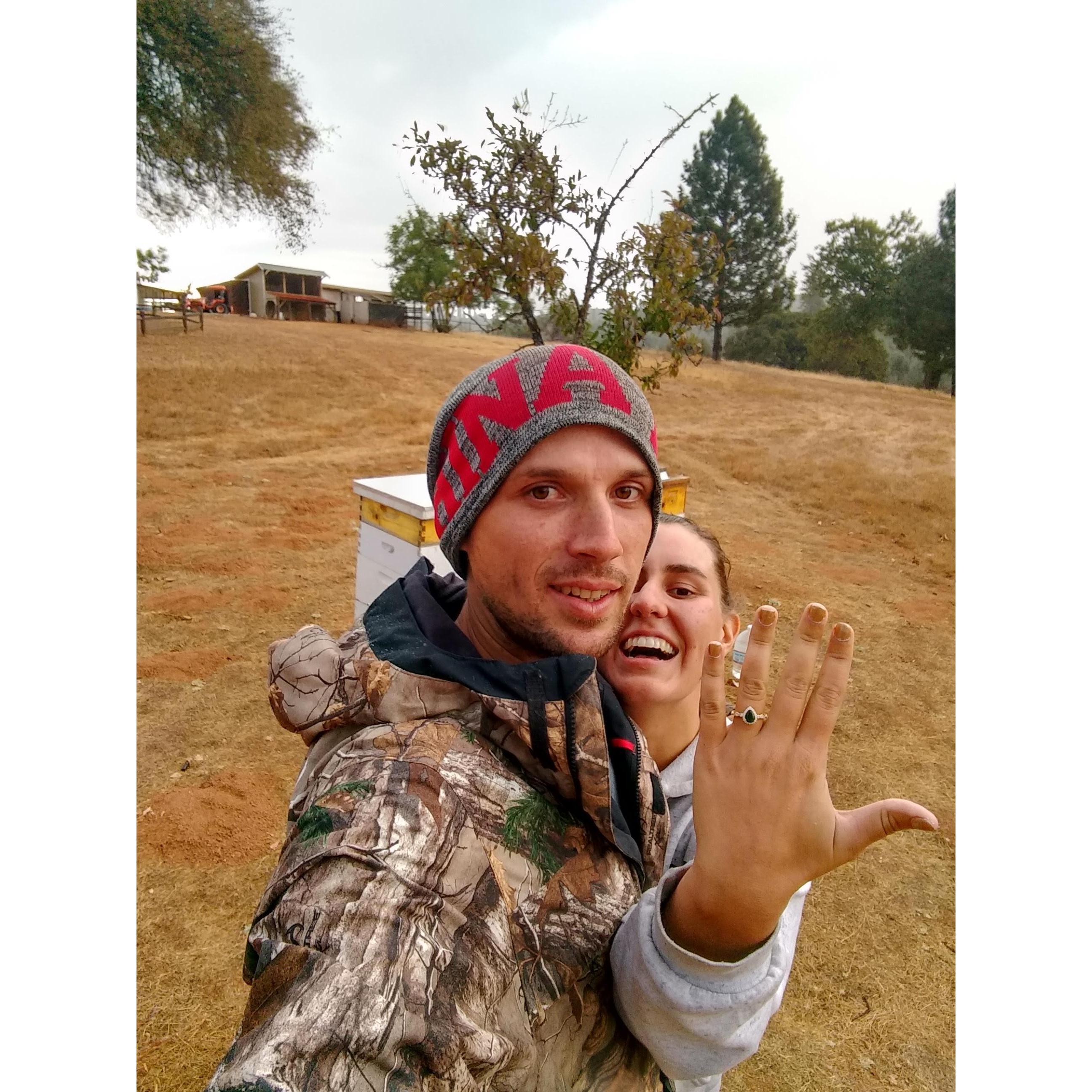 Minutes after the proposal.