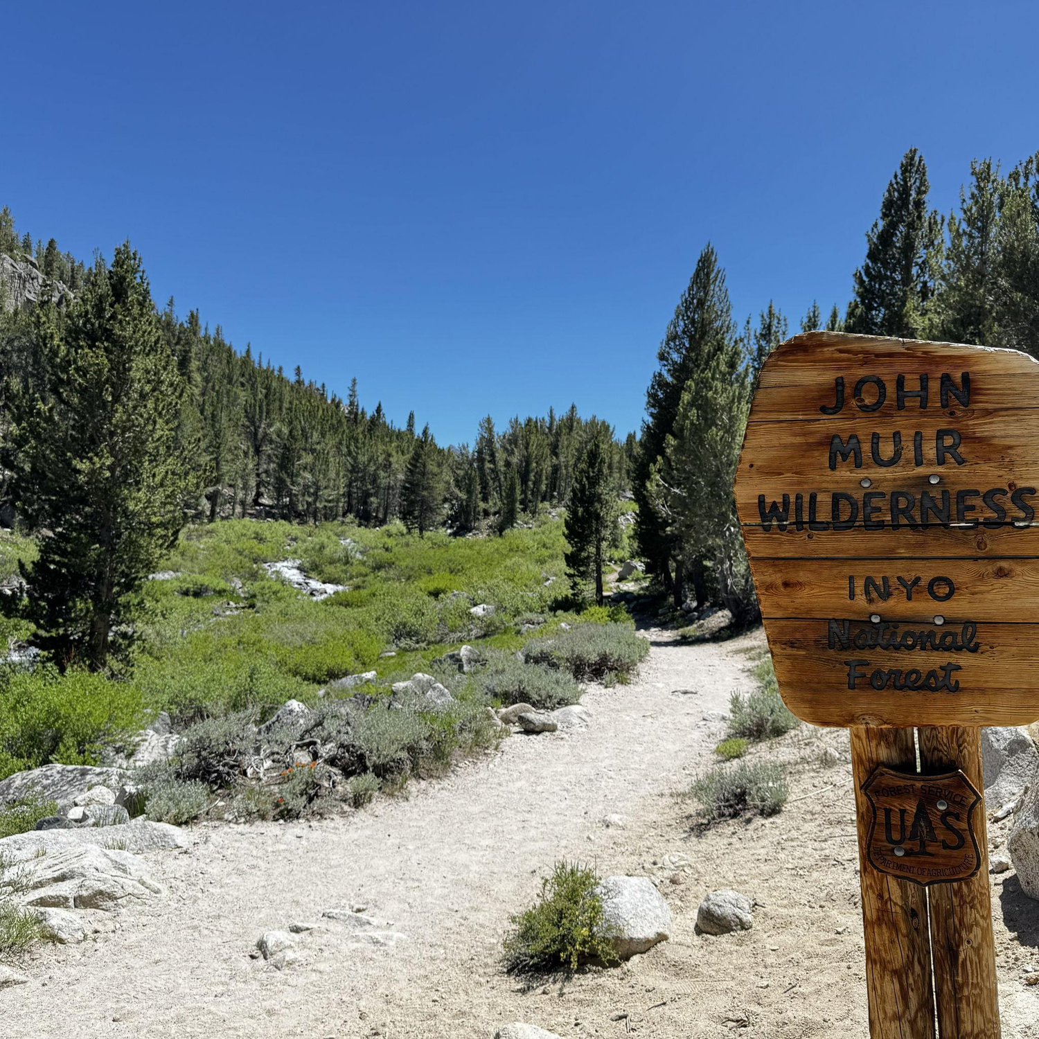 One of the best places to frolic!