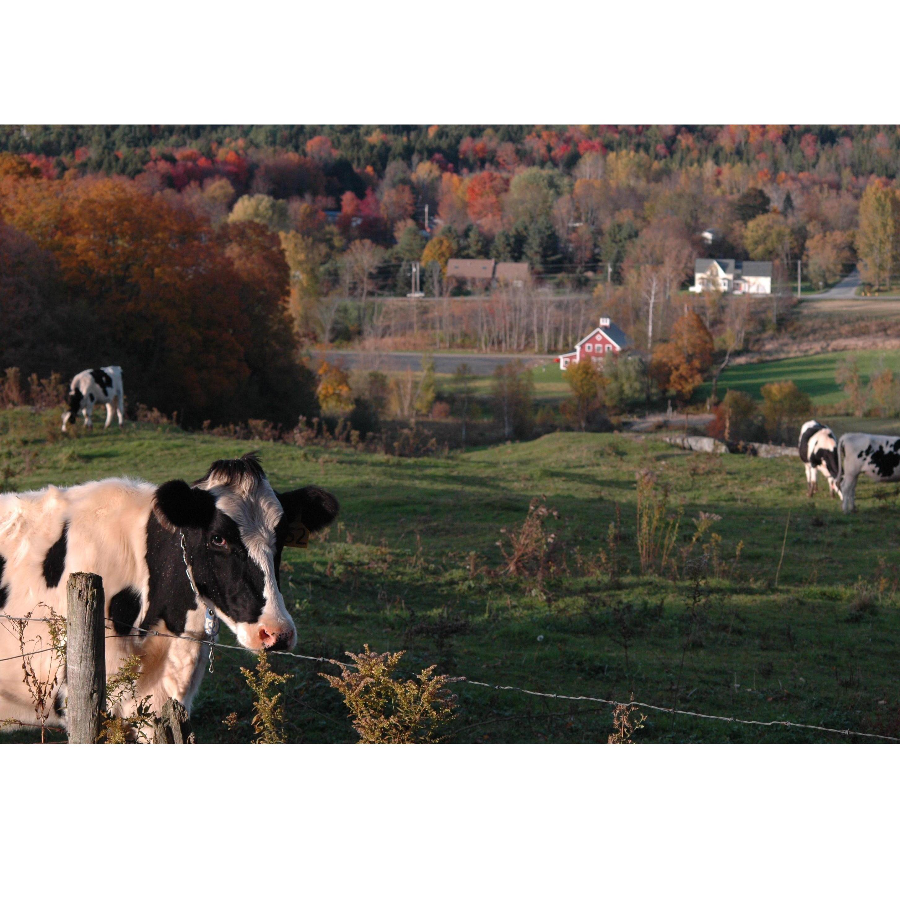 We can't wait to see you on the farm!