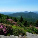 Carvers Gap Trailhead