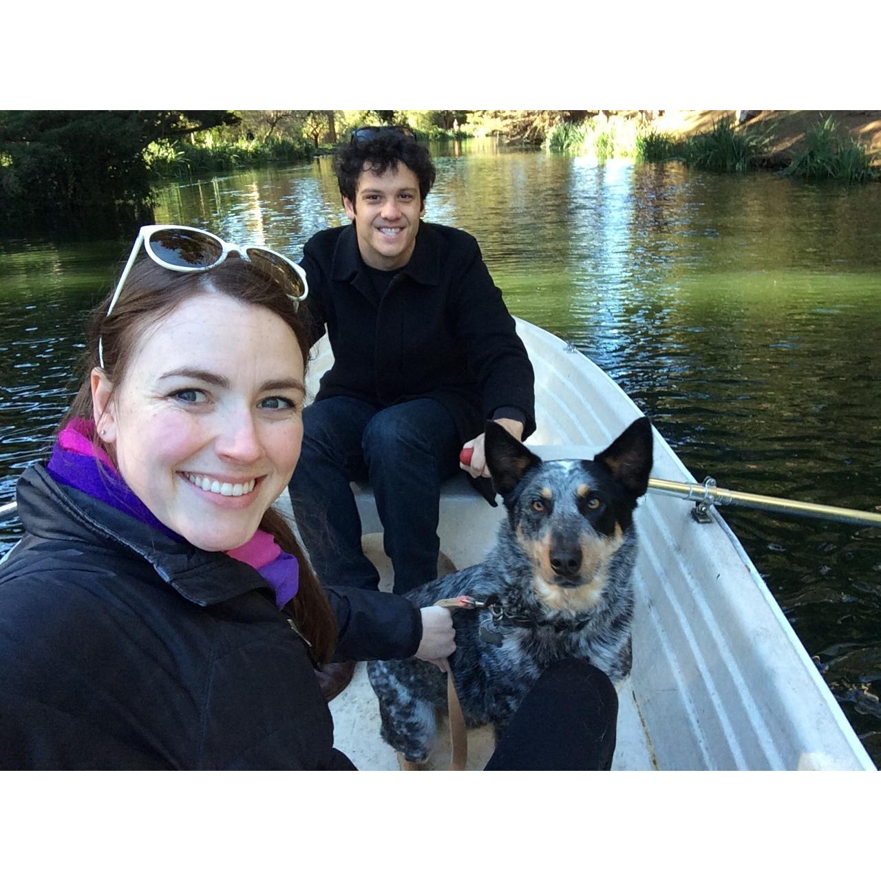 Captain Jack, Stow Lake (November 2015)