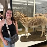 Senckenberg Nature Museum