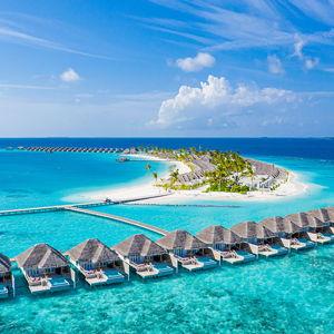 Honeymoon Fund