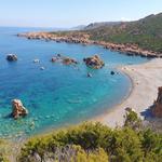 Tinnari