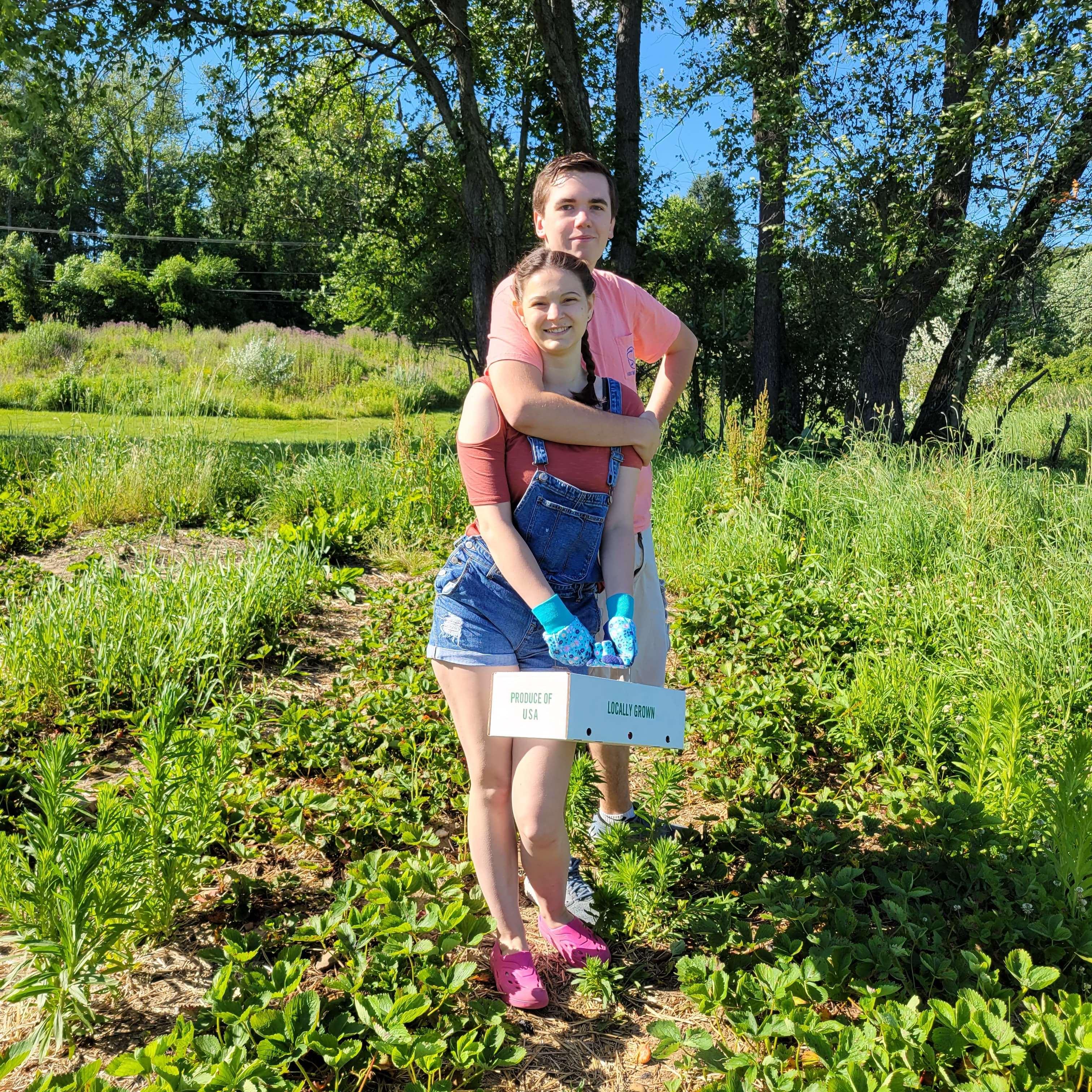 Picking strawberries for homemade jam for all our guests.
