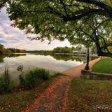 Delaware Park