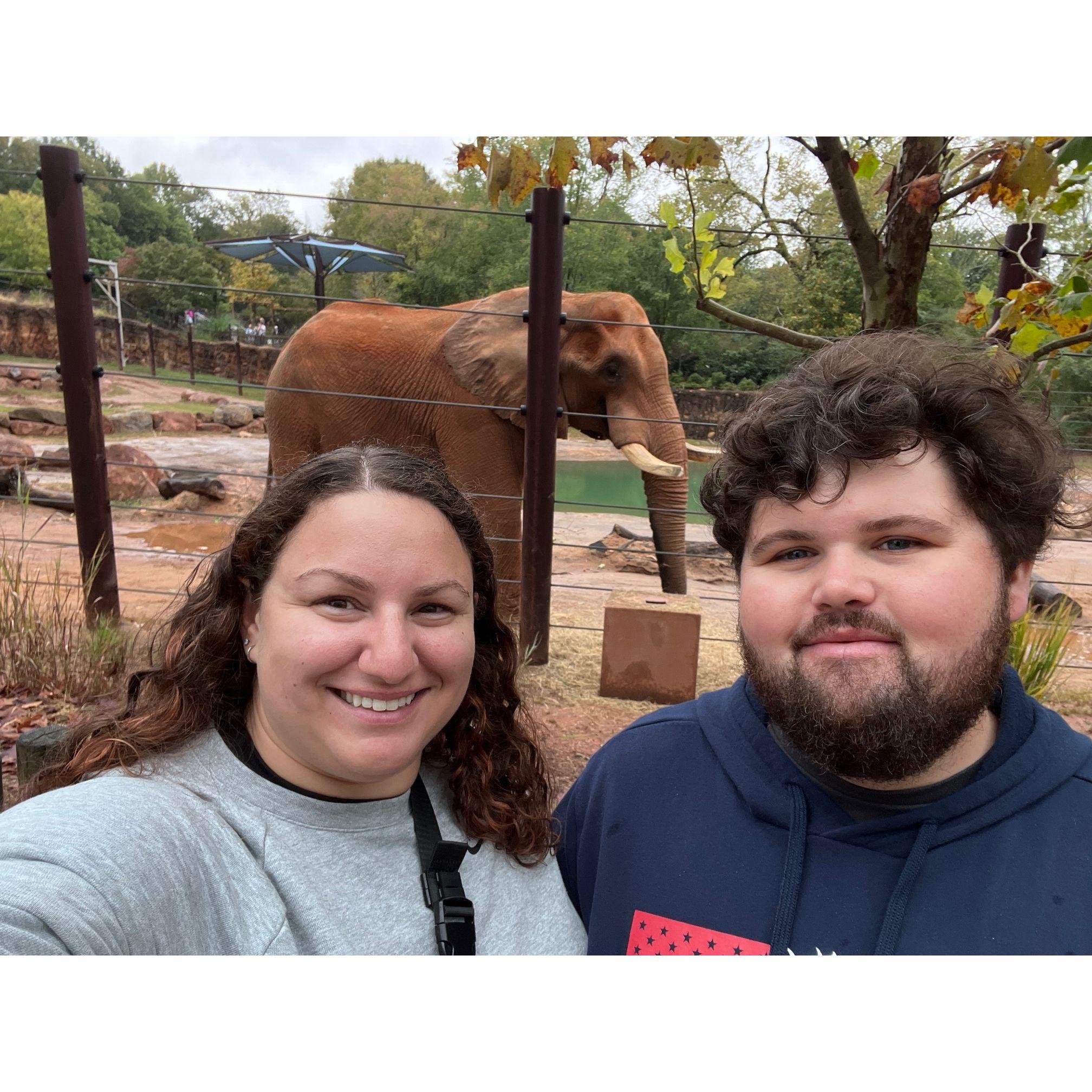 A very cold morning at the Atlanta Zoo! The morning of the proposal! October 2023