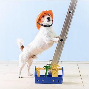 Our Home Improvement Fund