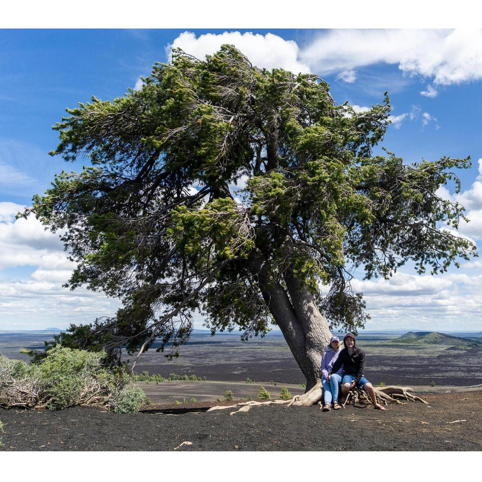 Inferno Cone in Craters of the Moon National Monument & Preserve in Arco, Idaho.
06/14/2020