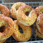 Center Harbor Bay Gulls