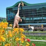 The Children's Museum of Indianapolis