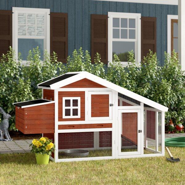 Freddy Chicken Coop with Chicken Run