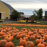 DuBois Farm