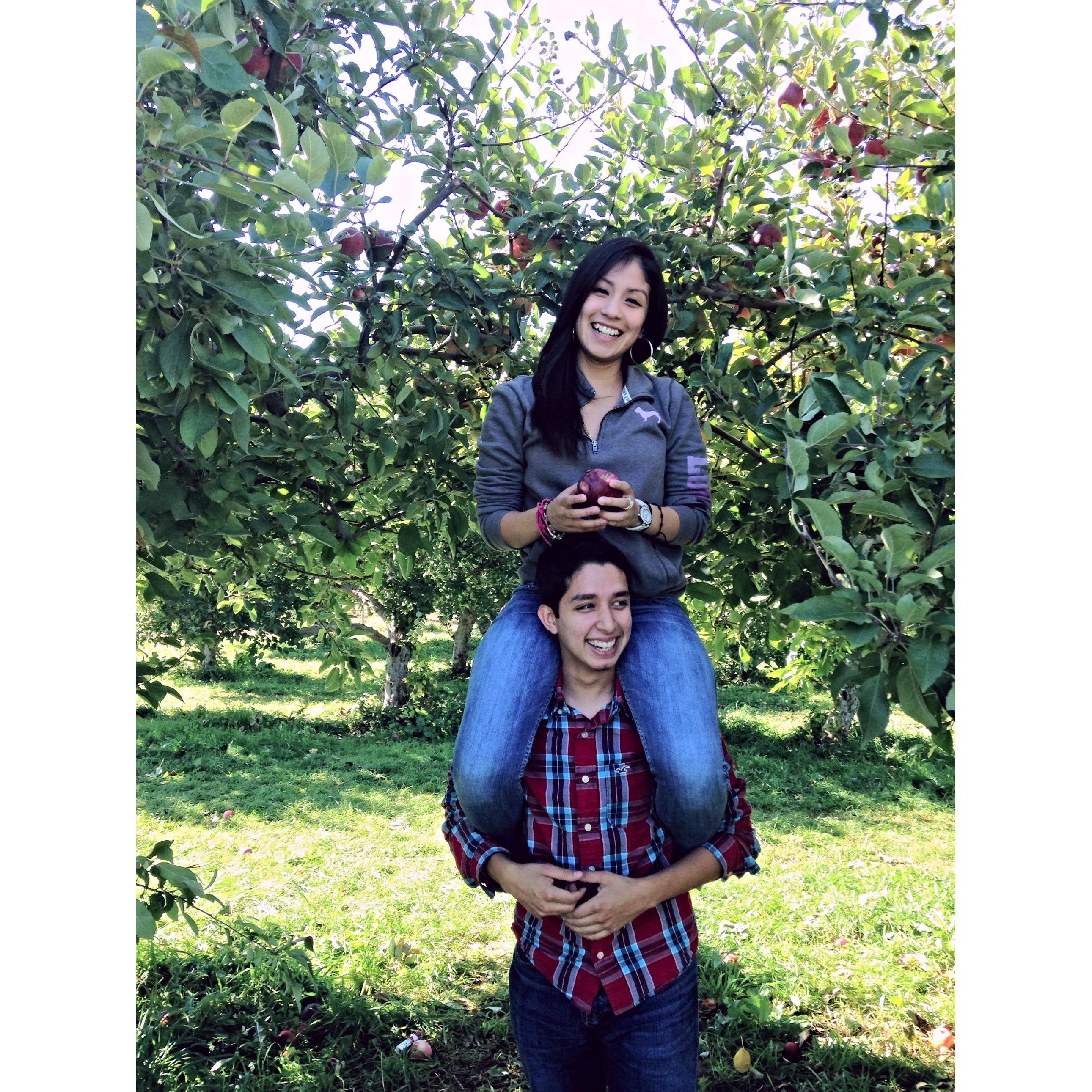 Apple lovin'