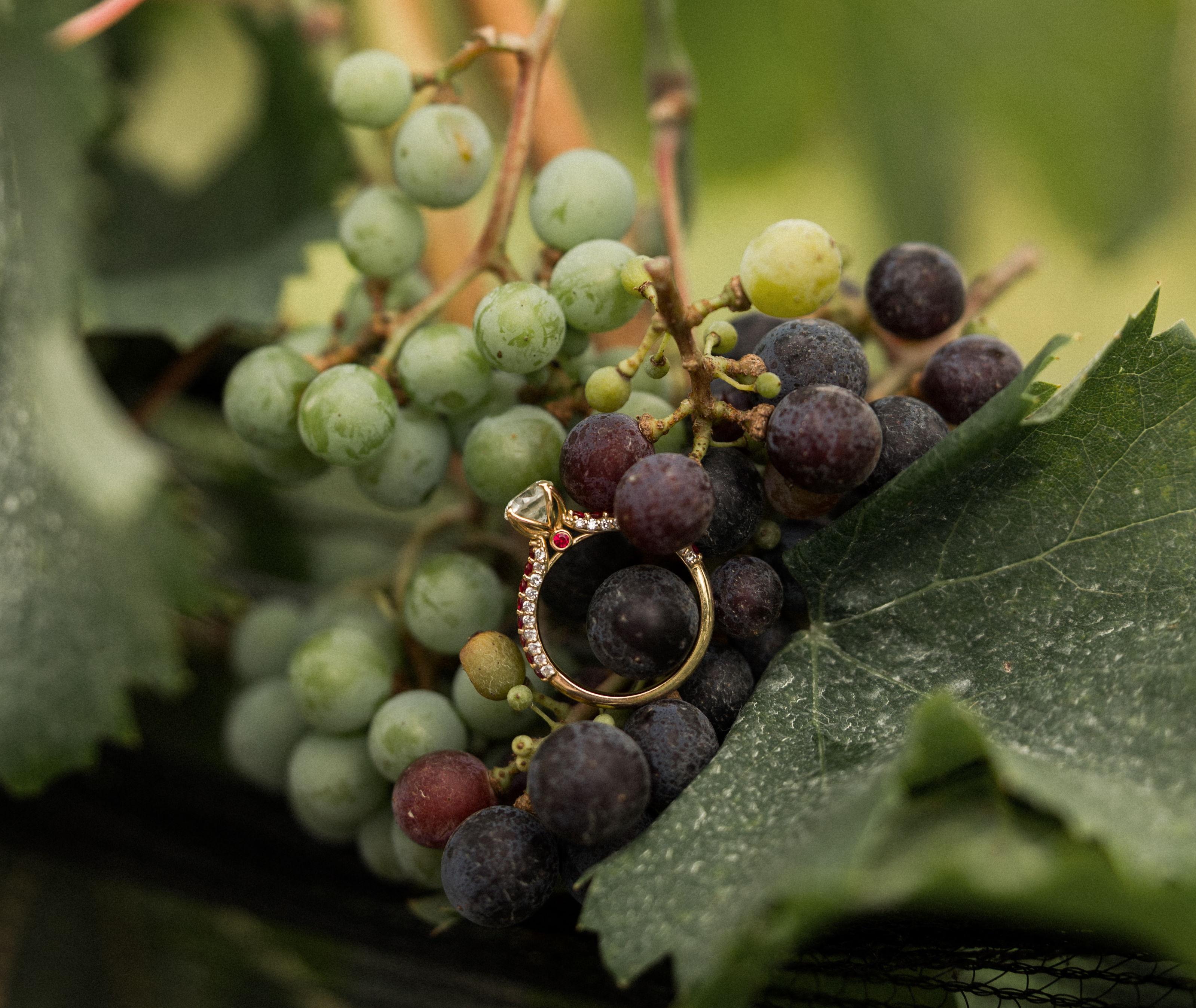 The Wedding Website of Callie Vernon and Cole Bobbitt