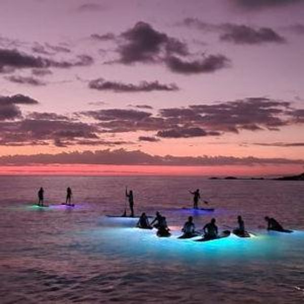 Night time paddle board excursion! We'll experience the ocean after dark as it comes to life with this nocturnal paddle boarding tour. Thank you for contributing to our honeymoon fund!