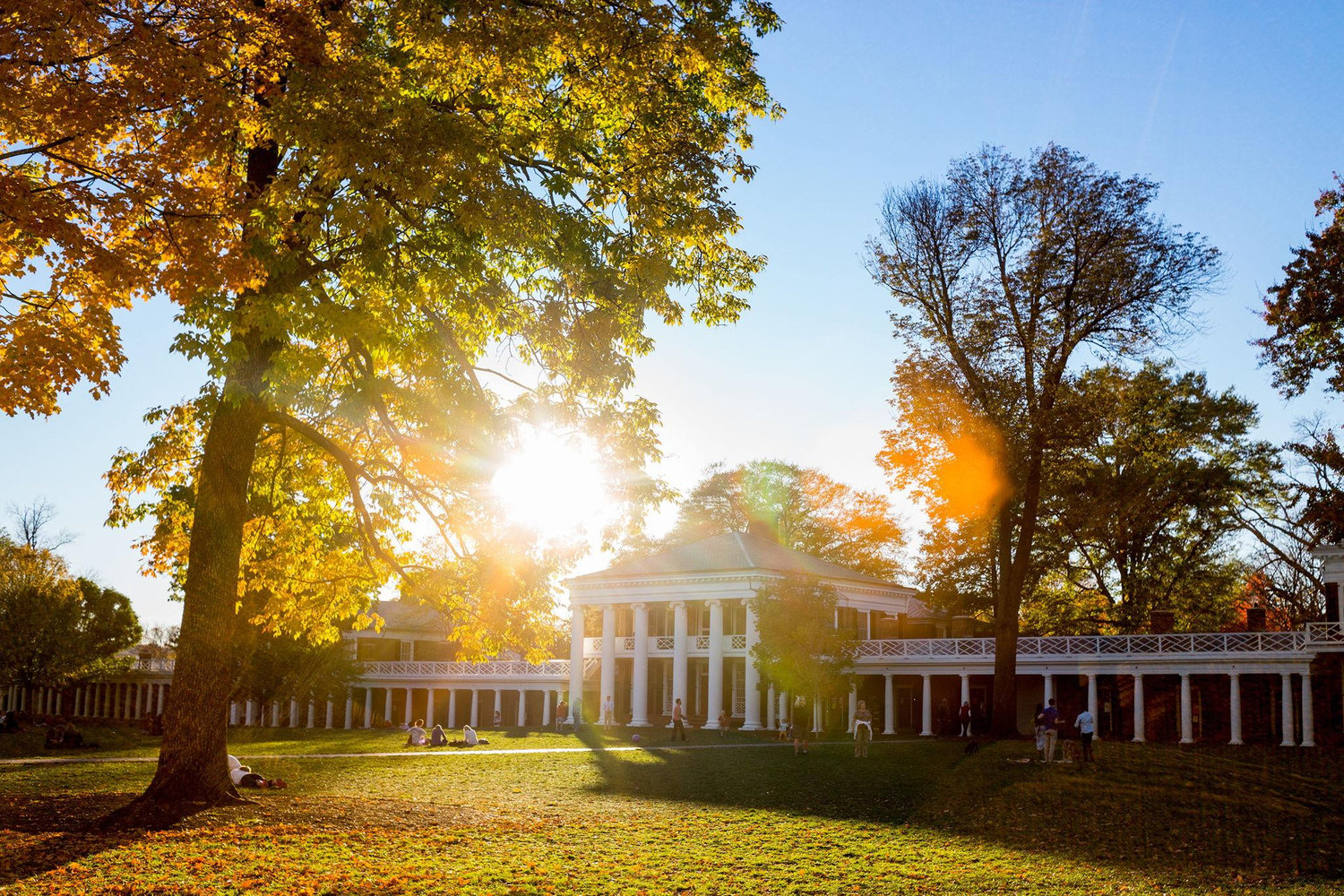 The Wedding Website of Sophia Kerns and Christopher Clemens