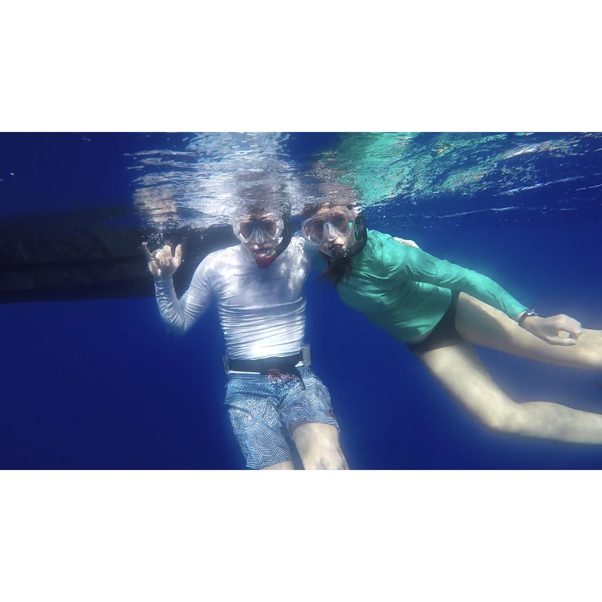 Snorkeling with sharks, June 2020