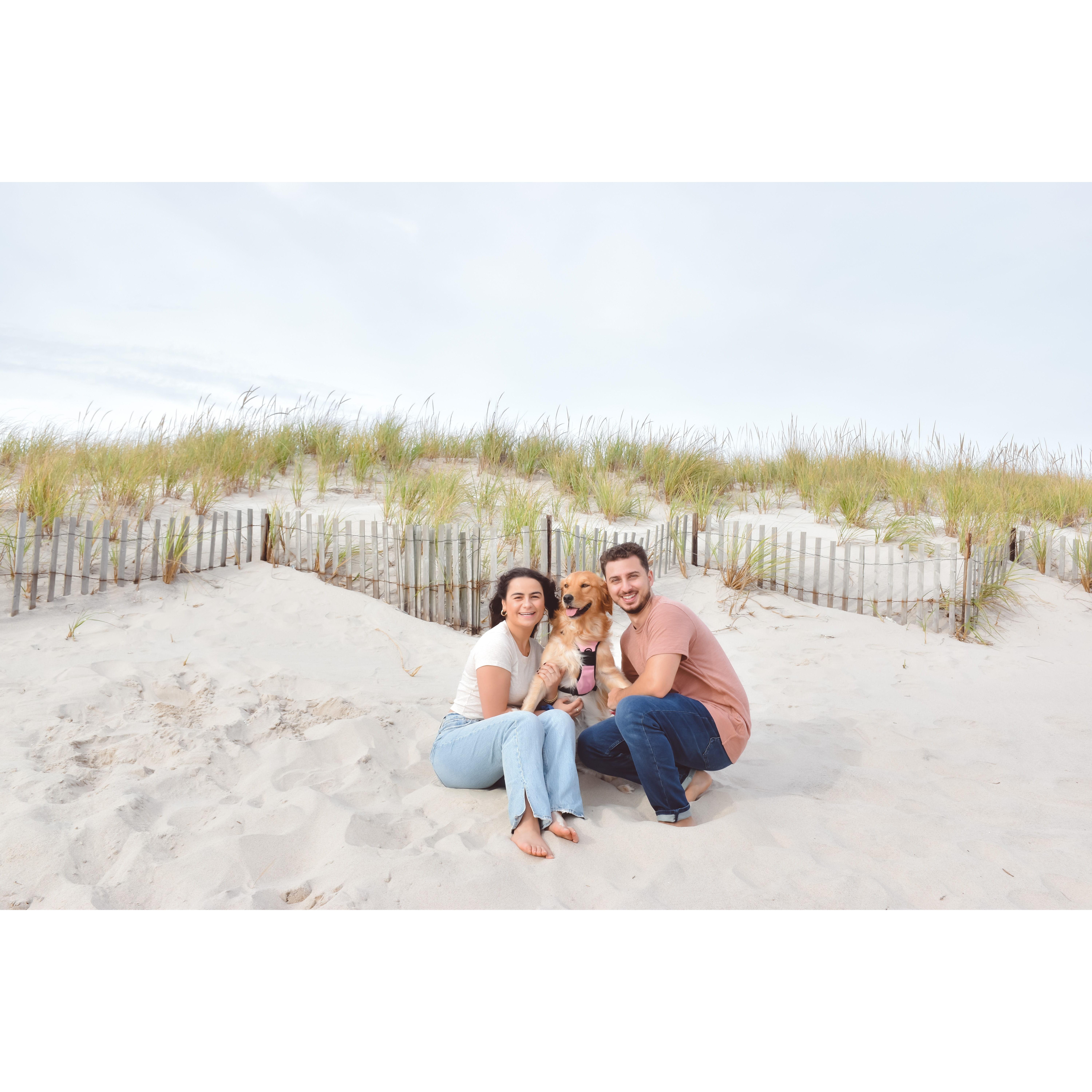 Beach day with Lily! November 2022