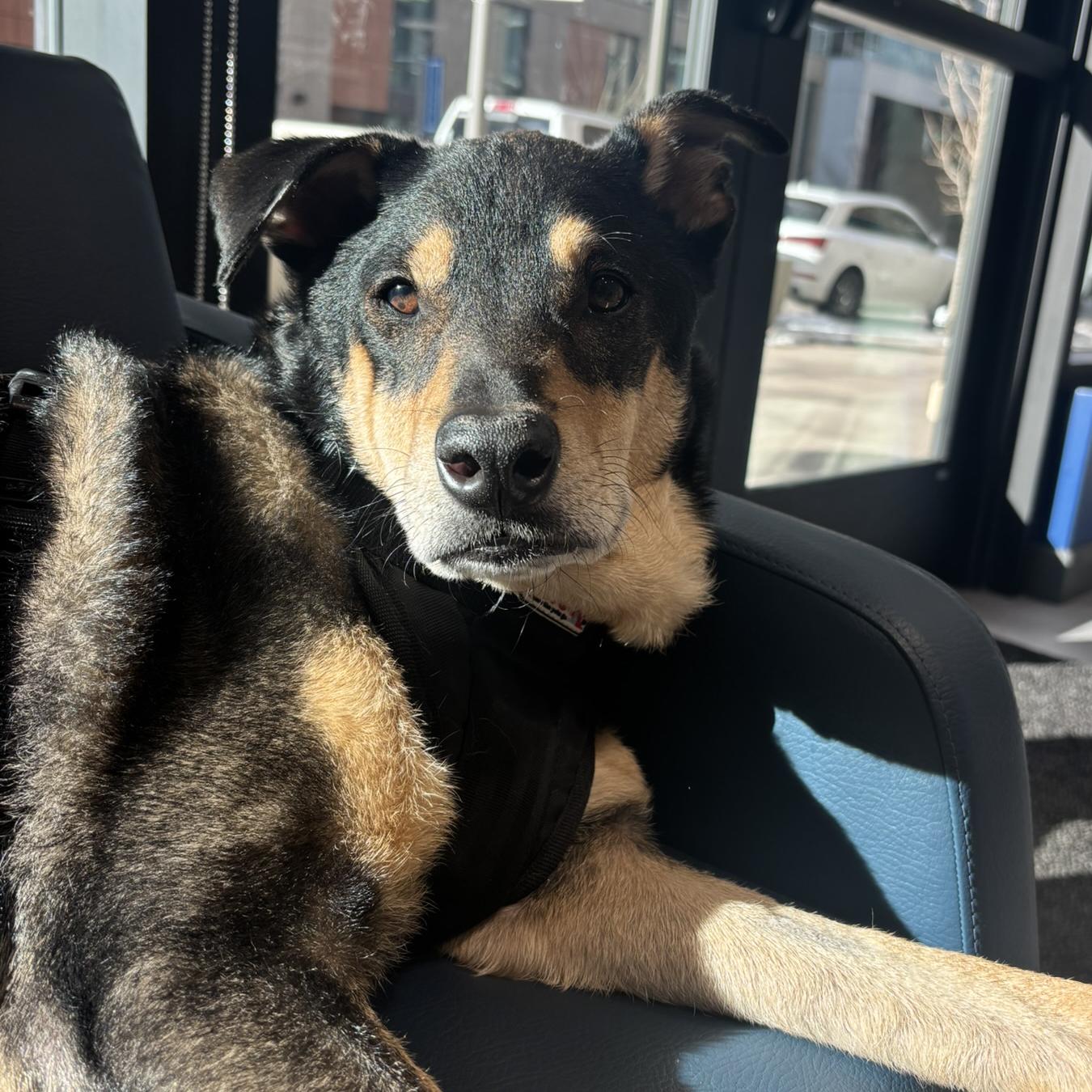 A Friend of Jack Donations