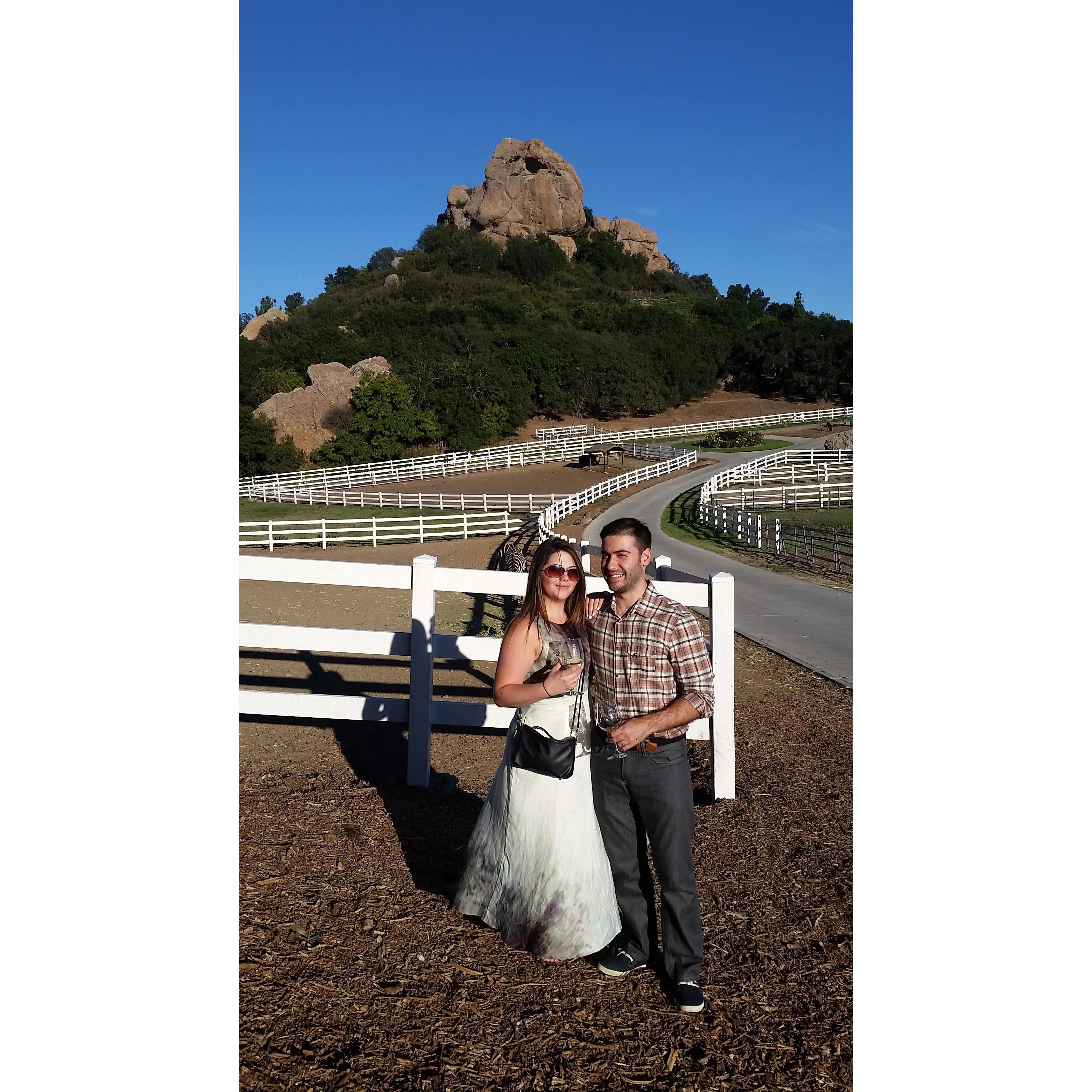 Malibu Wine Safaris (2015