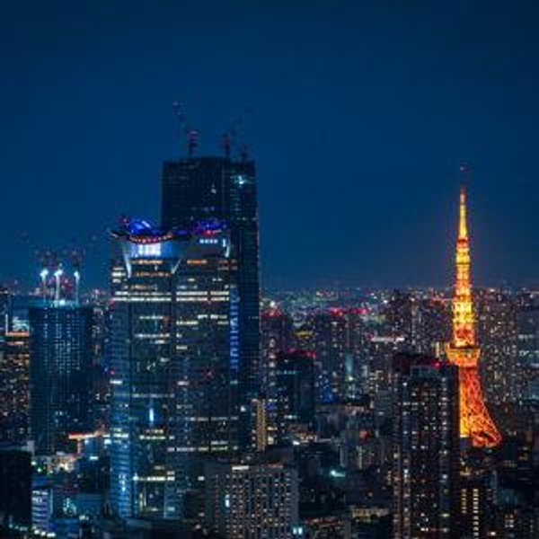 Shibuya Sky (Honeymoon Activity)