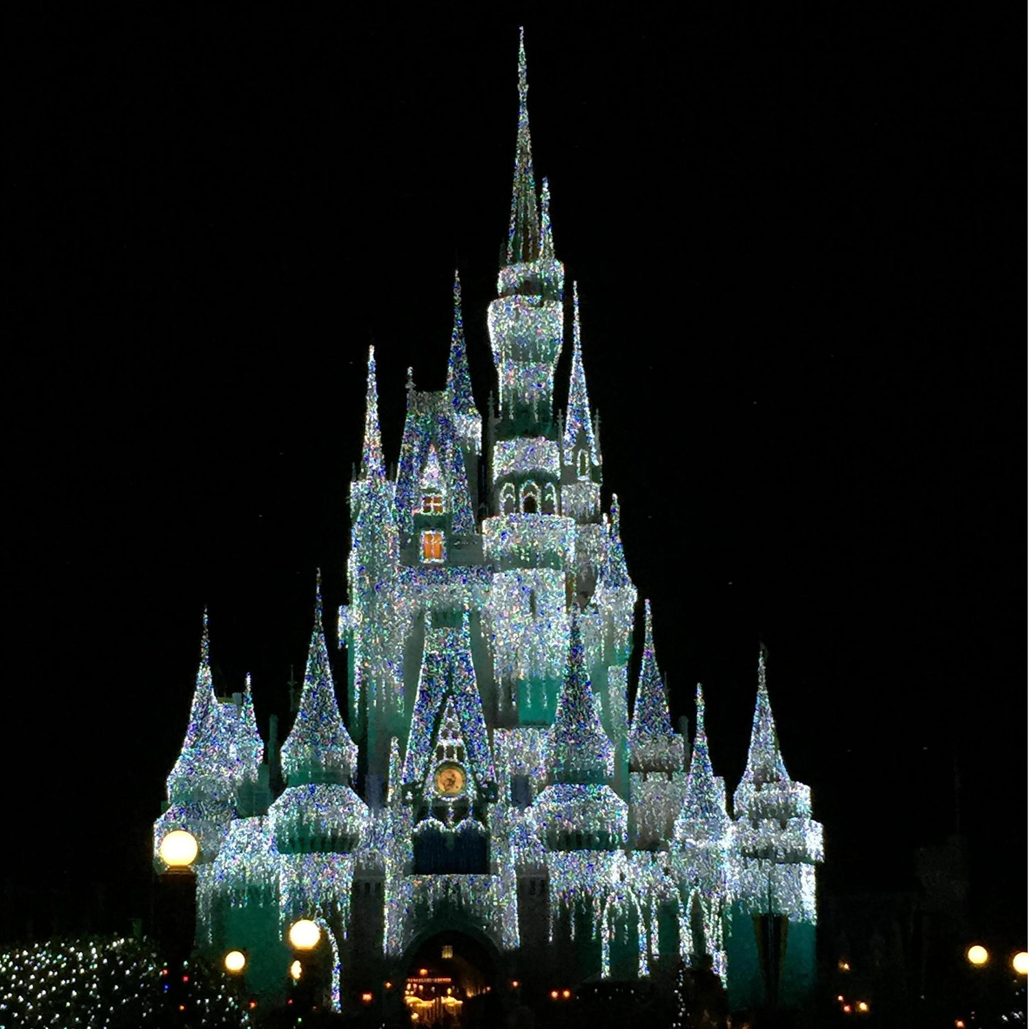 2015 - Disney World