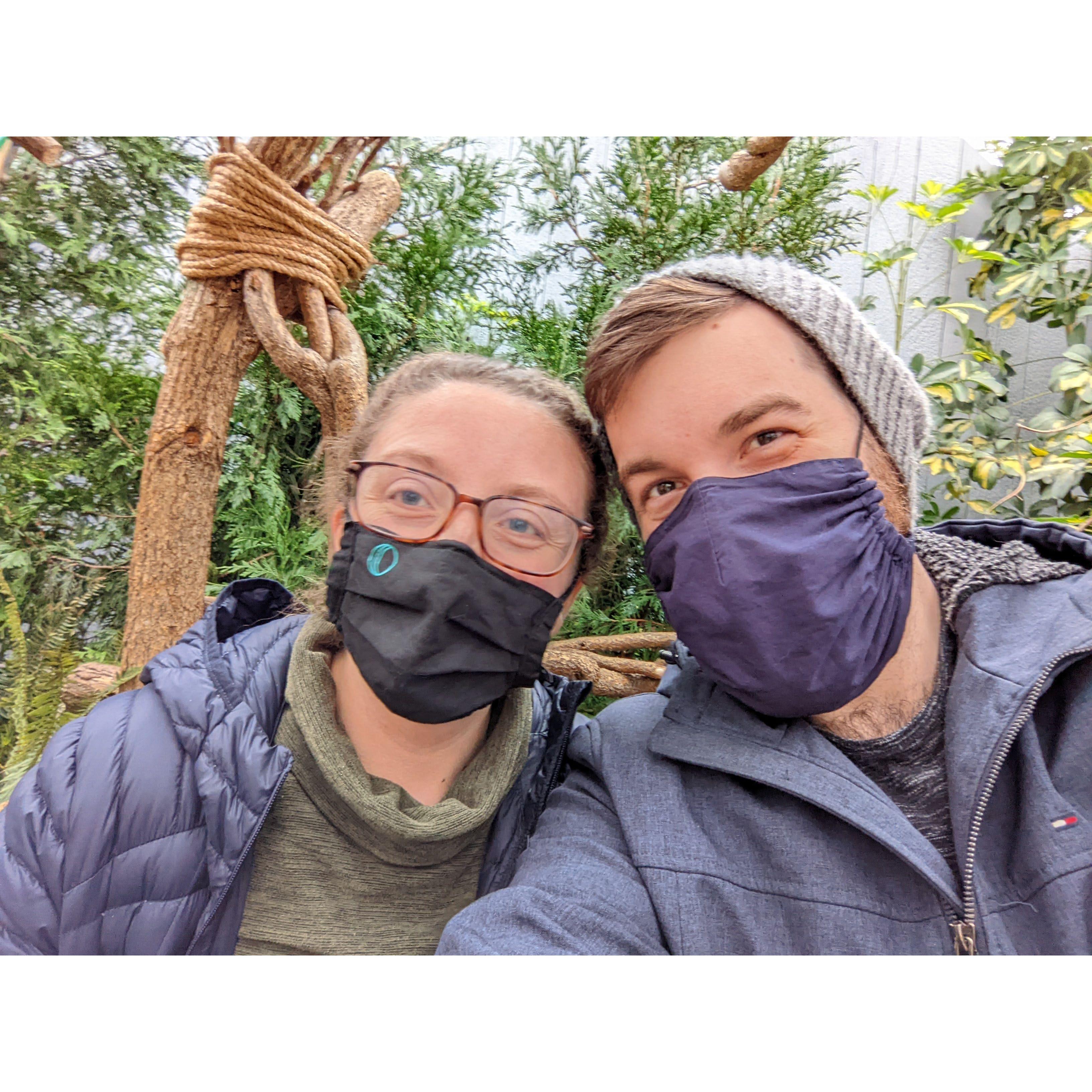 A lovely day at the botanical gardens during the holiday season