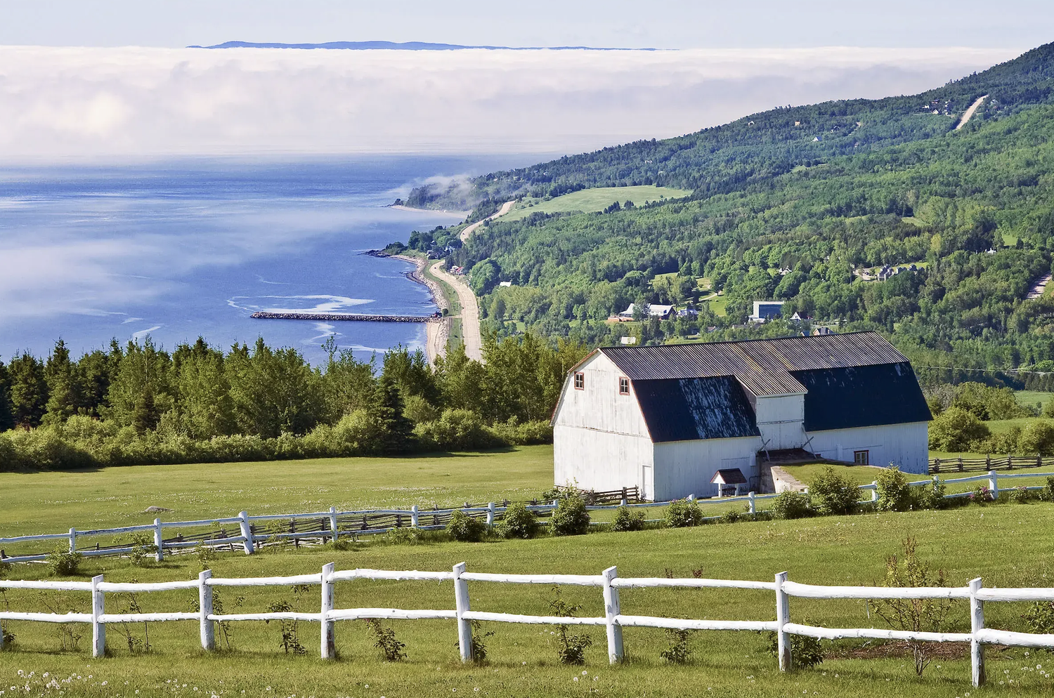 The Wedding Website of Mathieu Lacasse and Élodie Tremblay