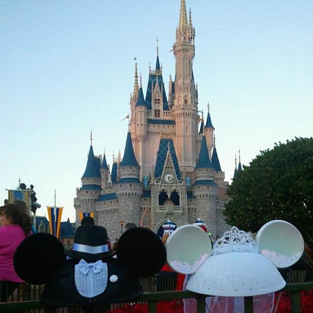 Our Disney Honeymoon Fund