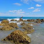 Red Reef Park