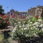 Mission San Juan Capistrano