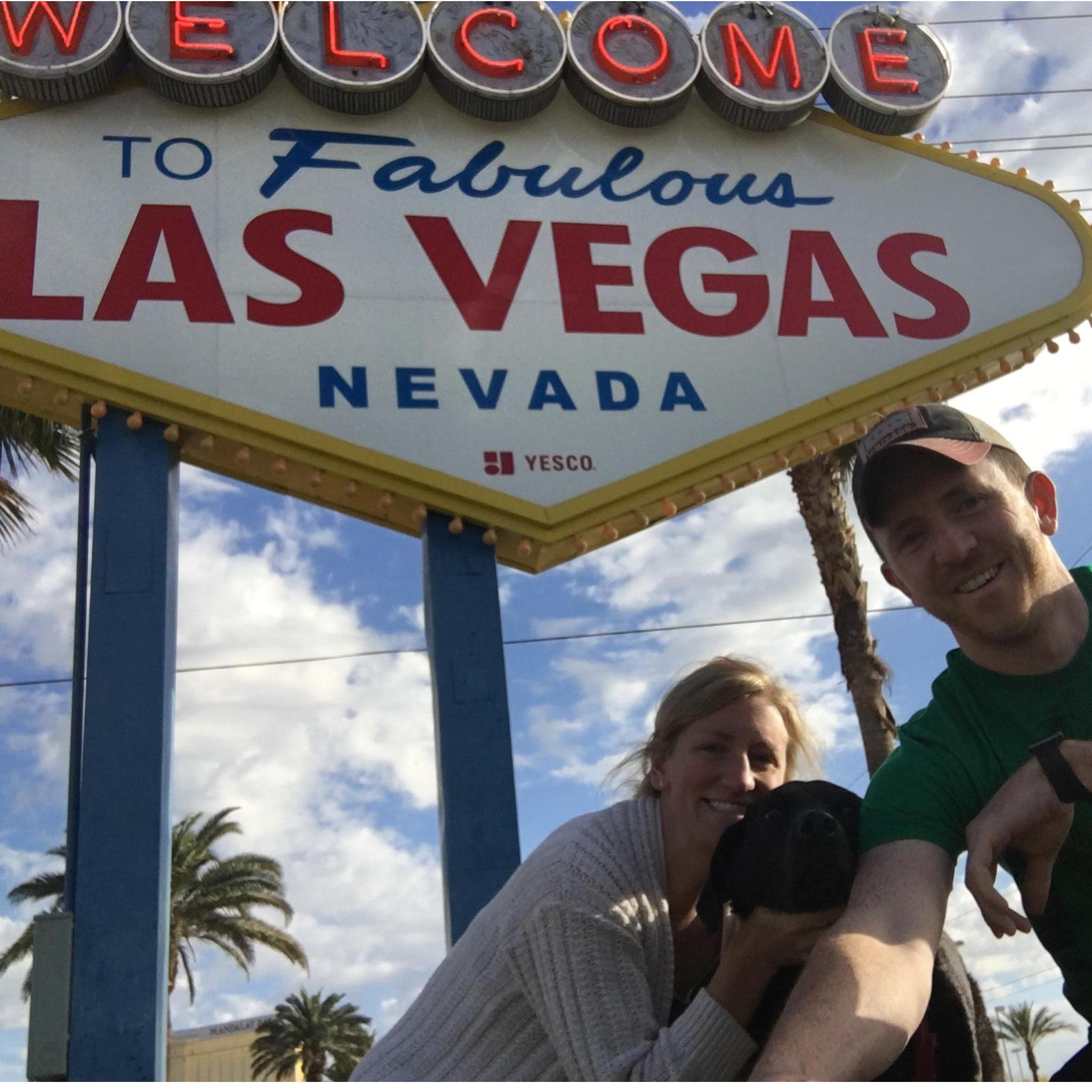 Bright lights, cute family (May 2017)