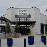 Sixty Vines