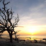 Driftwood Beach