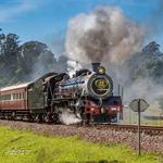 Umgeni Steam Railway (Inchanga Choo Choo)