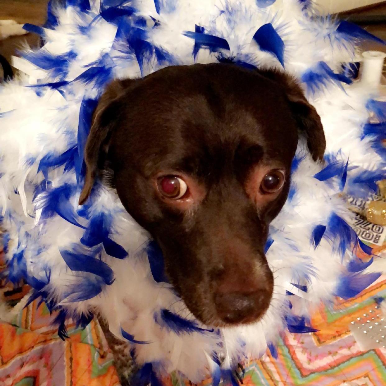 She hates us sometimes, but we love her. Little fashionista.