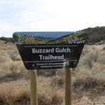 Buzzard Gulch Trails