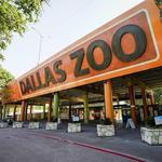 Dallas Zoo