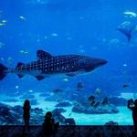 Parque Explora / Aquarium