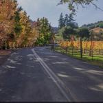 Dry Creek Valley Wineries