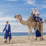 4 hour Tour - Outback And Camel Ride Safari